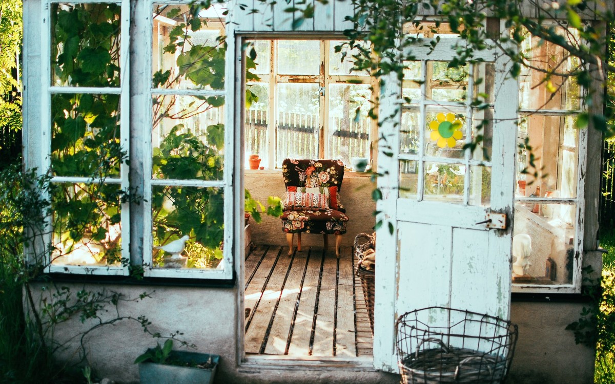 A chair in a vine covered vintage conservatory