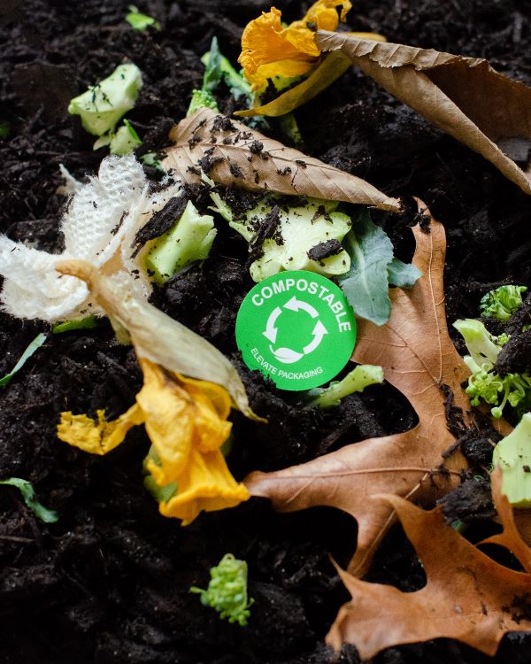 Compostable Sticker in Compost