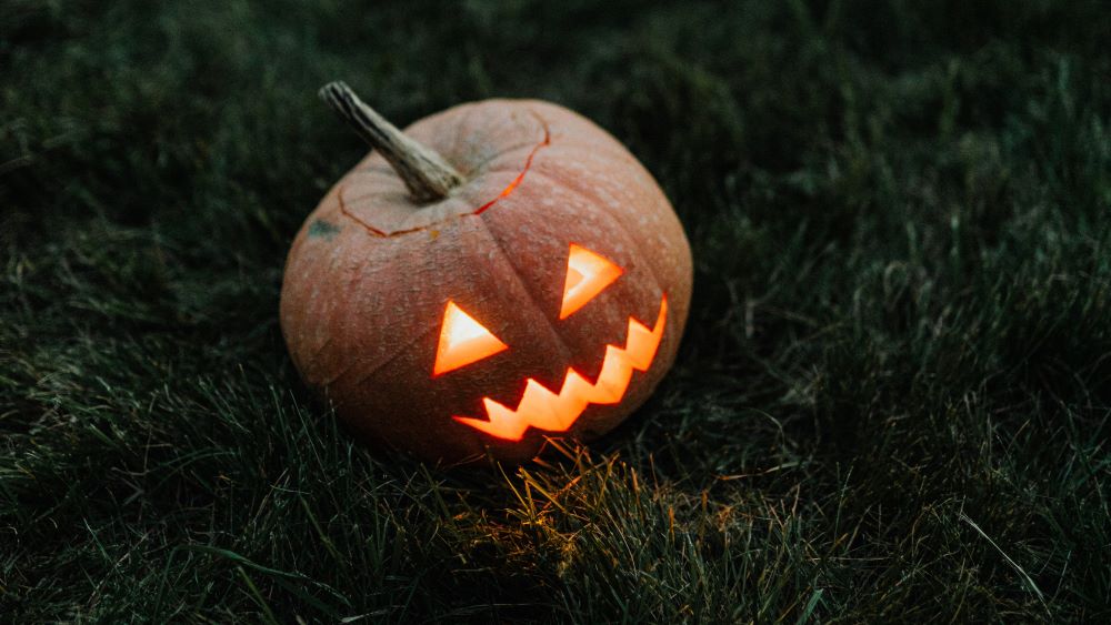 Halloween Pumpkin Waste