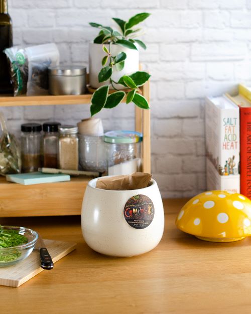 Compostable Packaging