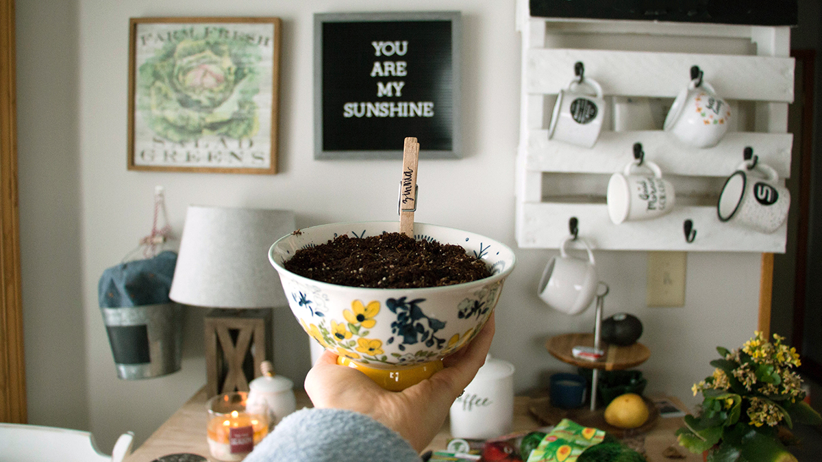 Using Compost Planting Indoor Seeds in Compost