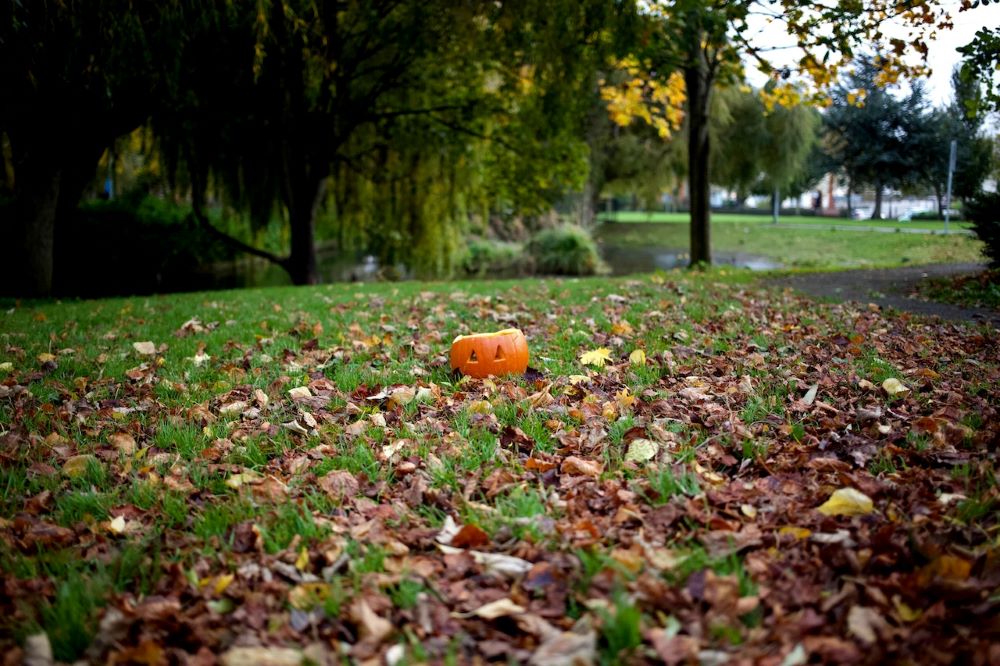 Carved Jack-o-Lantern in a field