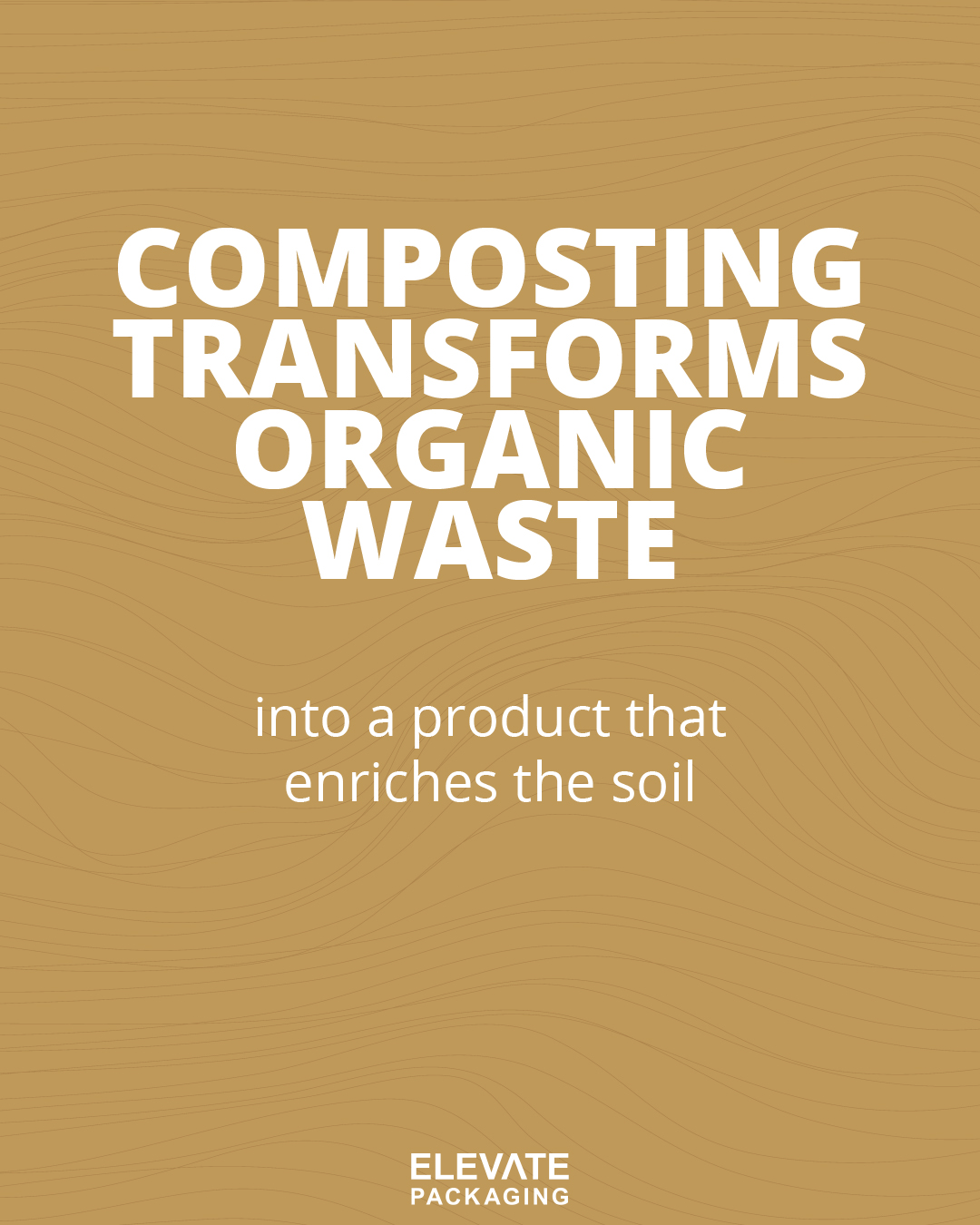 Composting Transforms Organic Waste Composting Transforms Organic Waste